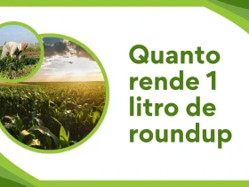 Quanto rende 1 litro de roundup