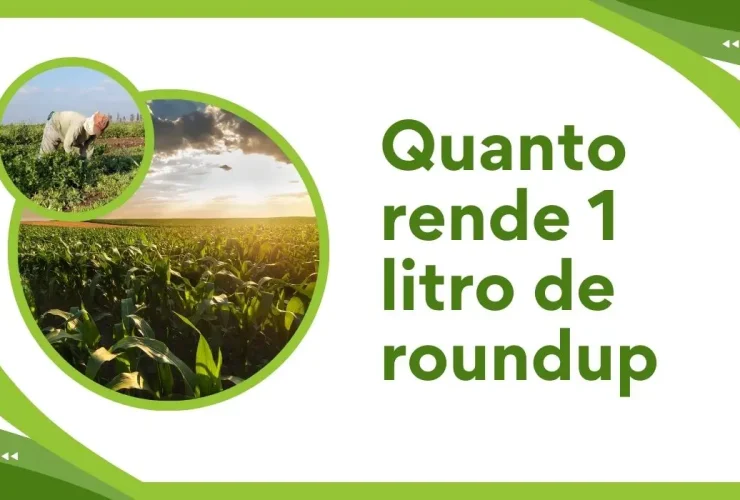 Quanto rende 1 litro de roundup