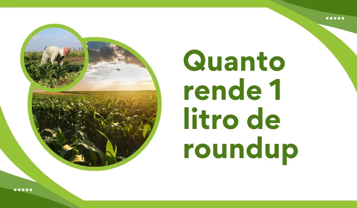 Quanto rende 1 litro de roundup