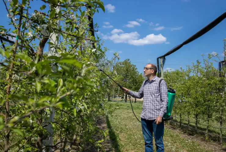 Para que serve o verdict max