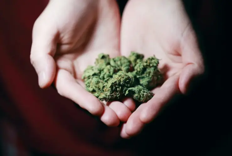 Blue Dream