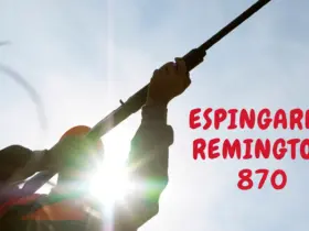 Espingarda Remington 870
